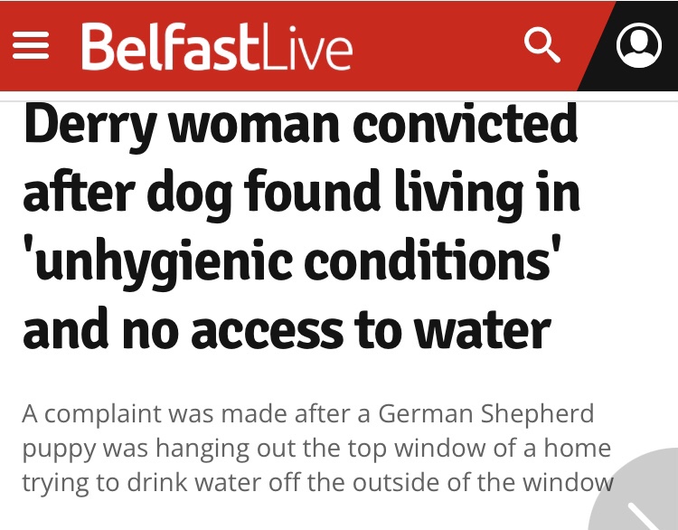 Derry woman convicted after dog found living in ‘unhygienic conditions