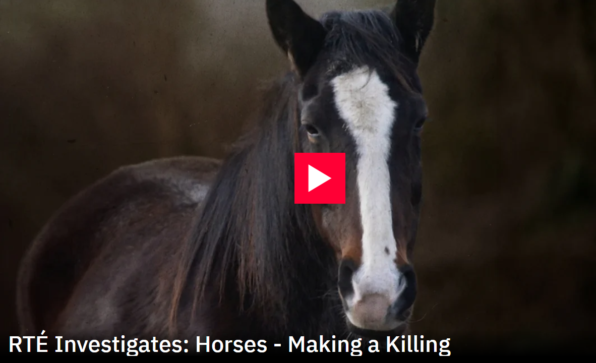 Minister for Agriculture: Statement on RTÉ Investigates programme