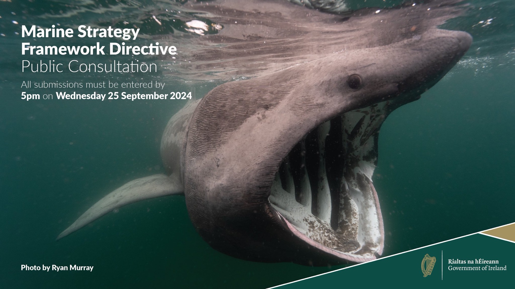 Public Consultation on Ireland’s Marine Strategy Framework Directive
