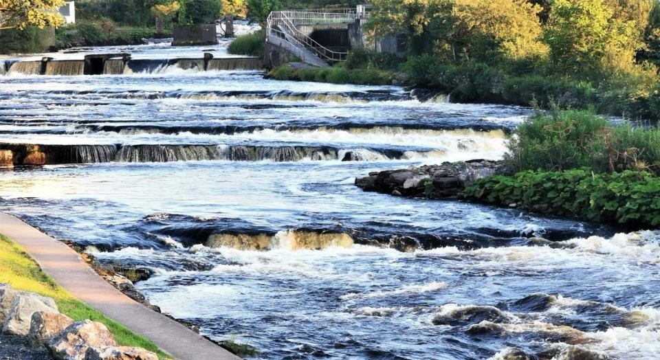 IFI investigating deaths of 850 wild salmon in Co. Sligo
