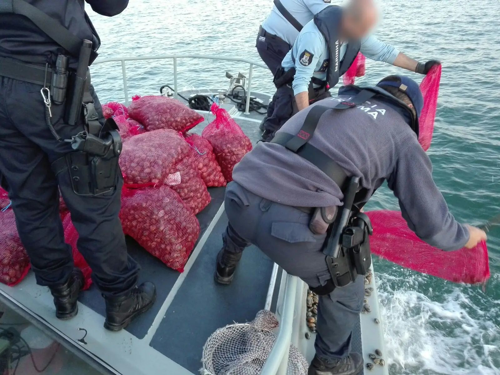 30 tonnes of illegally-fished, contaminated molluscs seized ahead of Christmas
