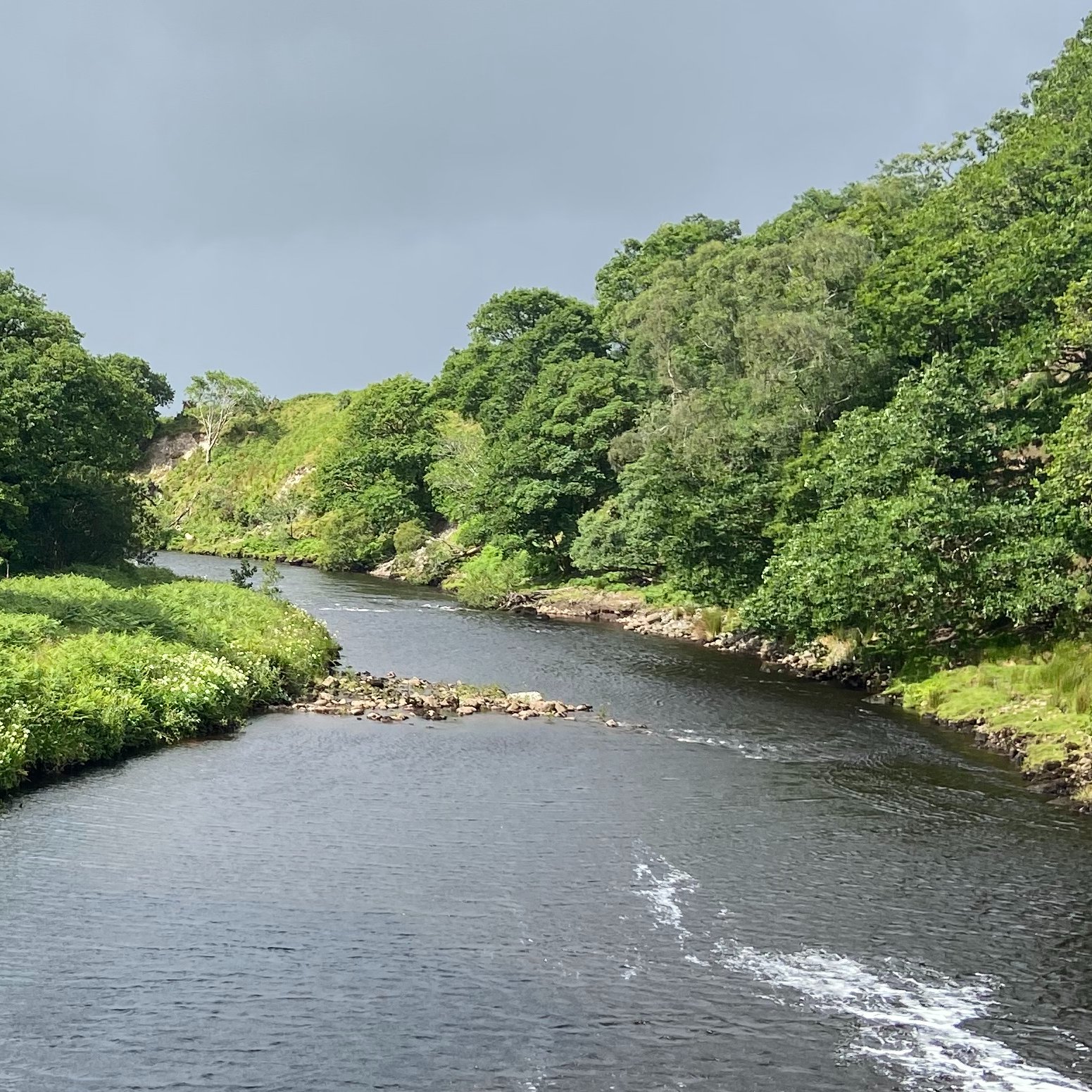 IFI secures fine and costs of €1,750 against man for illegal fishing