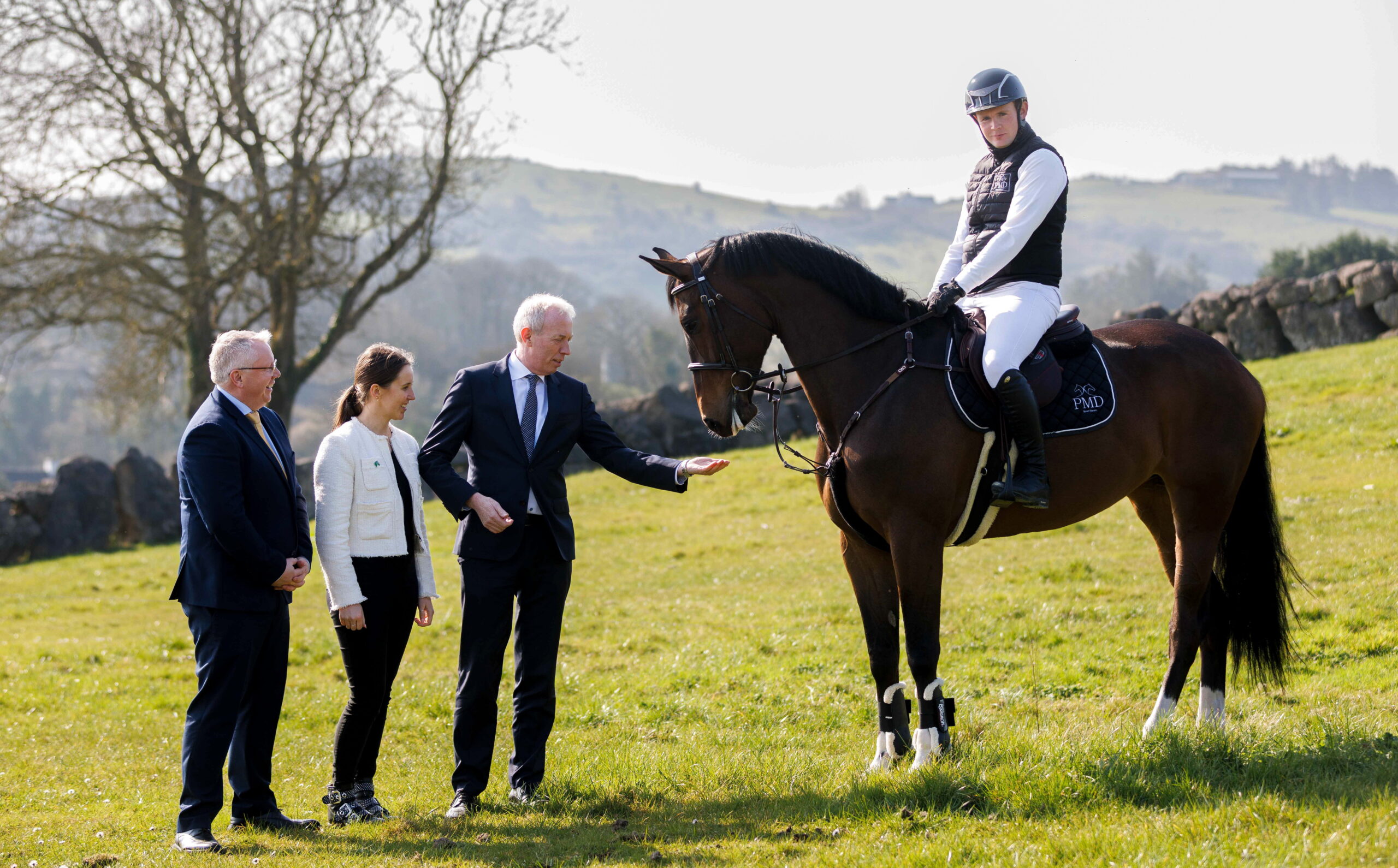 Horse Sport Ireland (HSI) announces €600,000 in breeding grants