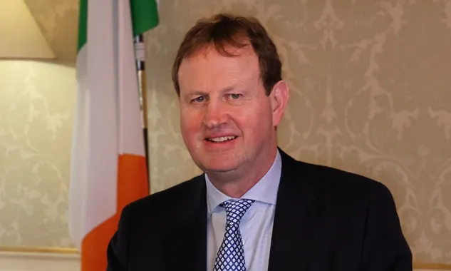 Fireworks and Animal Welfare: Why Strong Legislation Matters