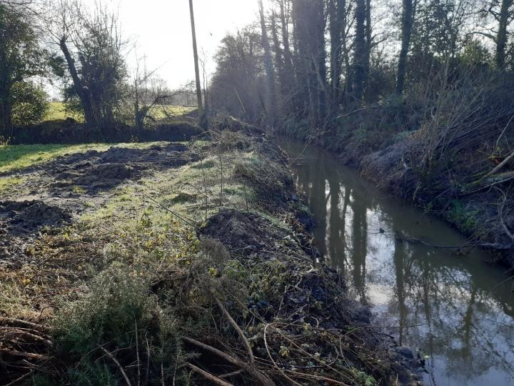 IFI welcomes conviction against landowner for habitat damage