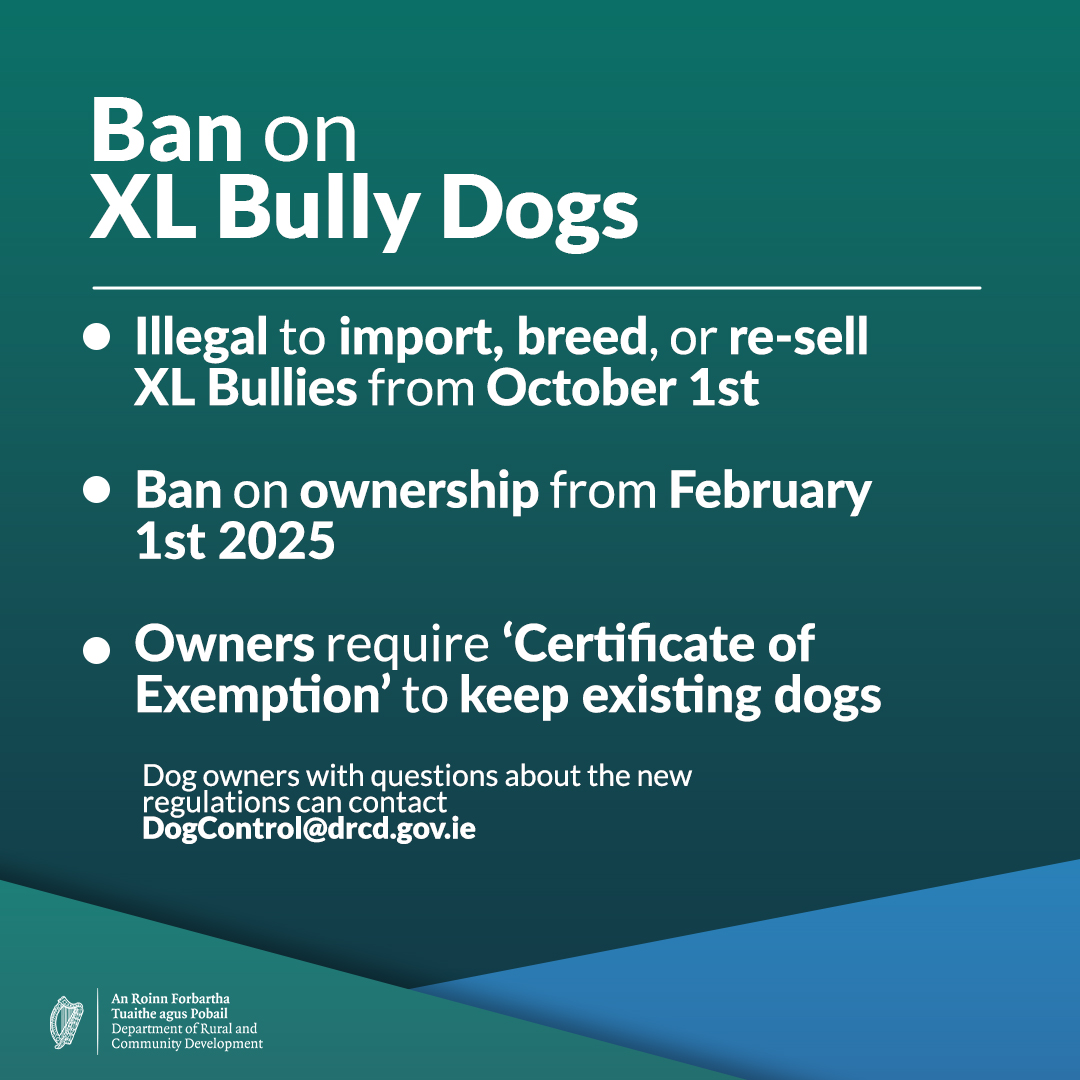 Bank on XL Bully Dogs