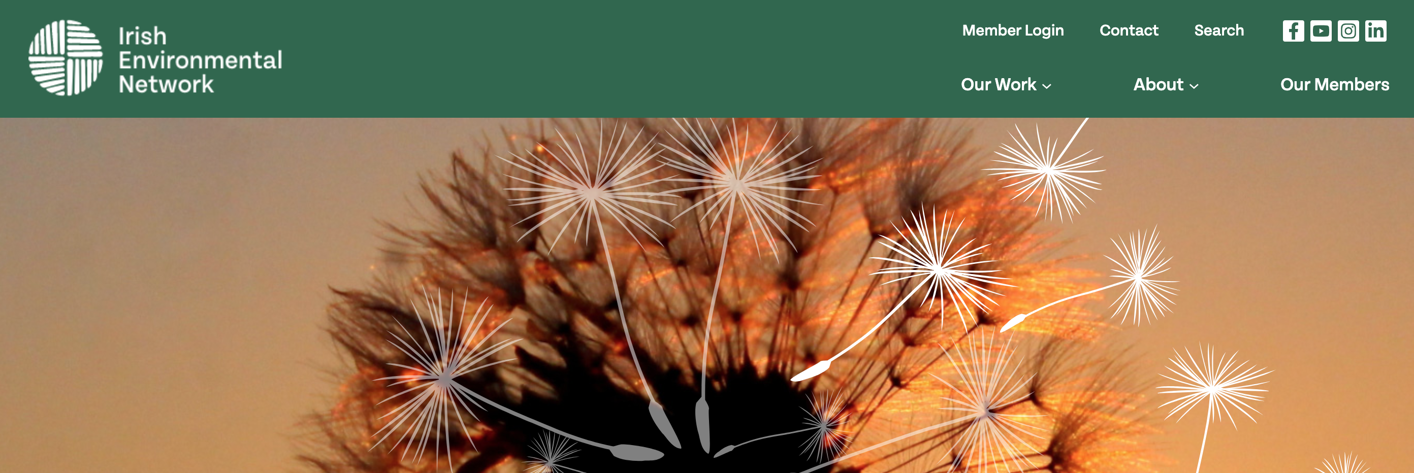 Irish Environmental Network